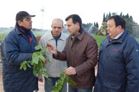 Company se traslada hasta Sa Pobla para interesarse sobre los efectos de las heladas en las cosechas de patata