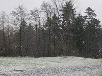 El Gobierno de La Rioja moviliza siete equipos para resolver las incidencias causadas por el temporal