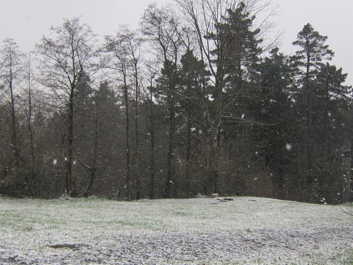 Nieve En Gipuzkoa.