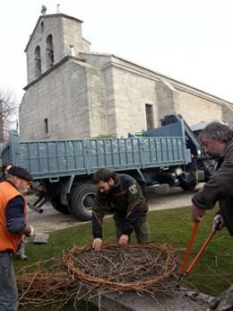 Retirada De Nido En Iglesia