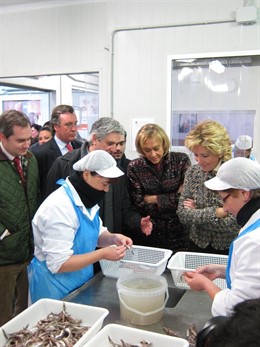 Presidenta De La Comunidad De Madrid, Esperanza Aguirre