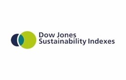 Dow Jones Sustainability Indexes