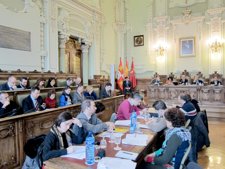 Pleno Del Ayuntamiento De Valladolid