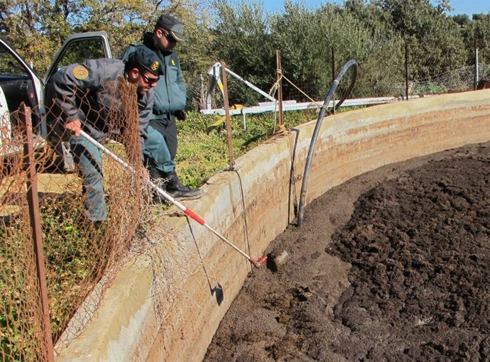 Dos Imputados Por Verter A Un Arroyo De Algámitas (Sevilla)