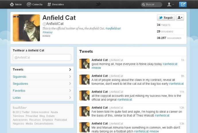 Cuenta @Anfieldcat
