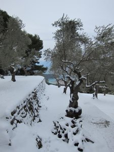 Nieve Caída En La Zona De Sóller 