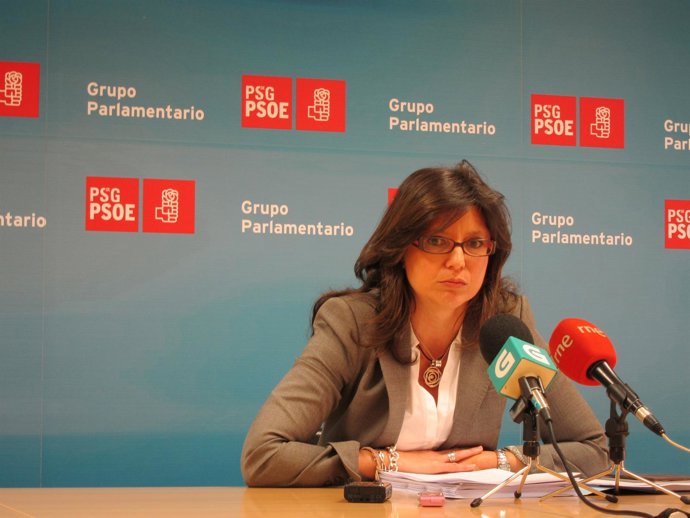 CARIDE PSOE