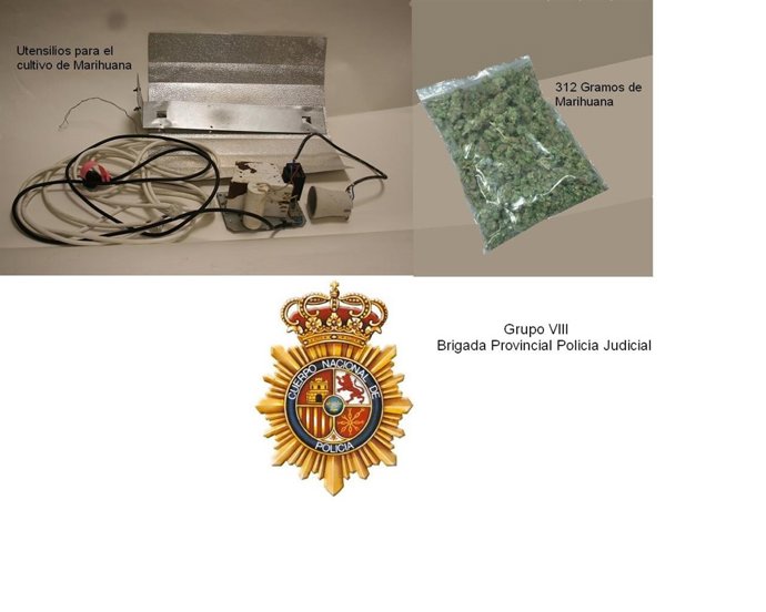 Mercancía Intervenida