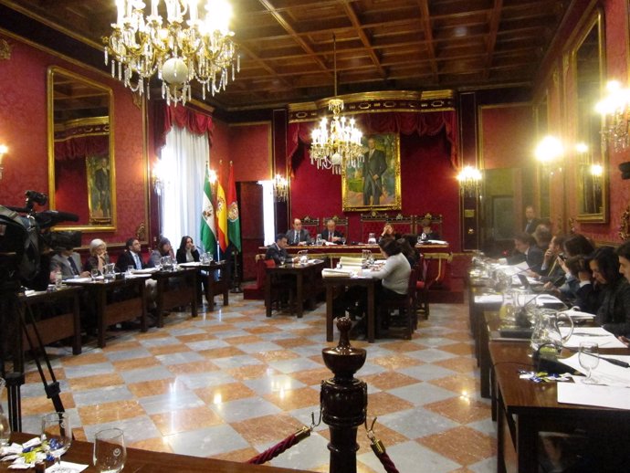 Pleno Del Ayuntamiento De Granada