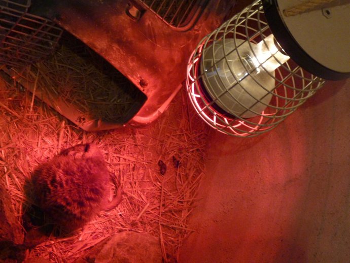 Sistema De Calefacción