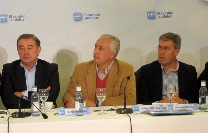 Barreiro, Arenas Y Fernández De Moya En Creación Del Grupo De Senadores De PP-A