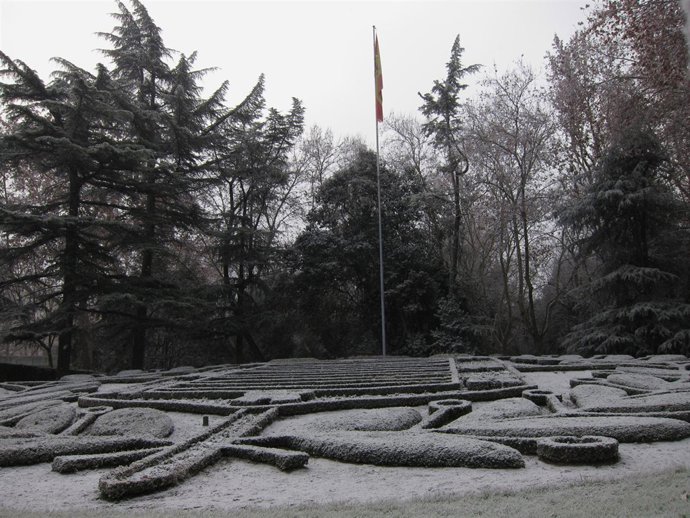 Frío, Cencellada En Valladolid