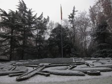 Frío, Cencellada En Valladolid