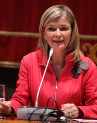 Garzón.- El CGPJ creu que les critiques al Tribunal Suprem són intolerables i inadmissibles