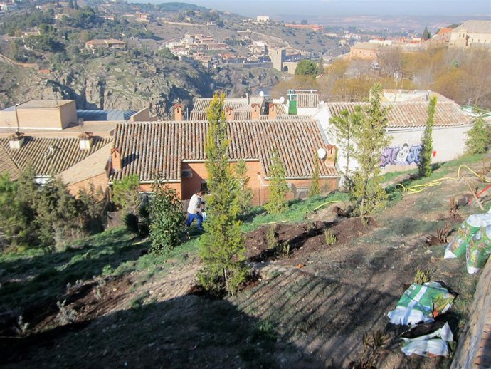 RODADEROS PASEO SAN CRISTÓBAL