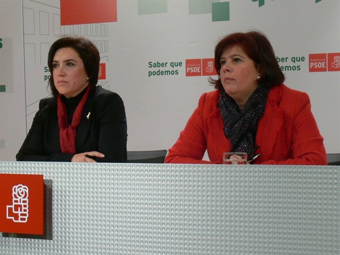 N.P. PSOE 17 Municipios Sin Servicio Atención Mujer 20120210