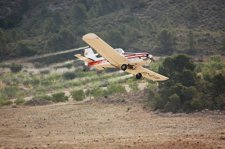 Tratamientos Para El Control De La Plaga De Langosta