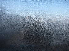 Frío, Escarcha, Invierno, Helada