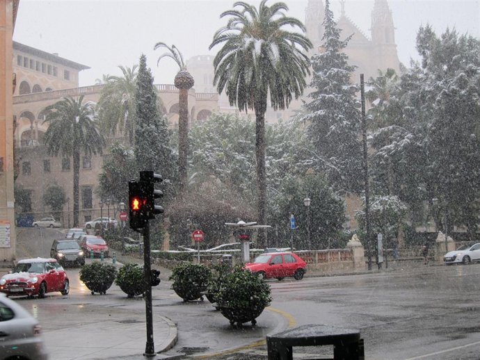 Palma Nevada, Nieve, Catedral