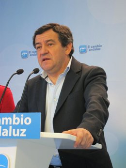 Presidente Provincial Del PP De Cádiz, José Loaiza