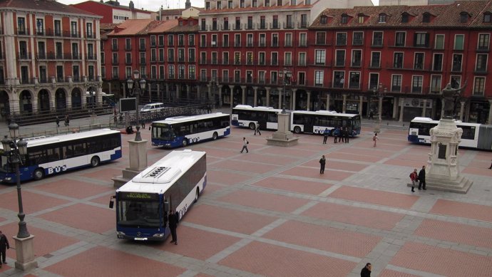 Autobuses De Auvasa En La Plaza Mayor