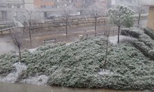 Temporal De Nieve Y Frío En Catalunya