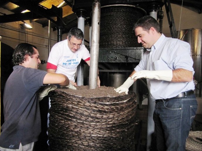 Bendodo, Junto A Un Molino Artesanal De Aceite 