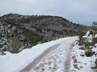 33 provincias, entre ellas, La Rioja, estarán hoy en alerta por nevadas, vientos o bajas temperaturas