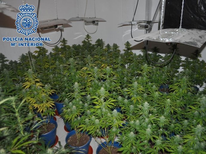 Invernadero Desmantelado En Una Vivienda Del Barrio De Almanjáyar