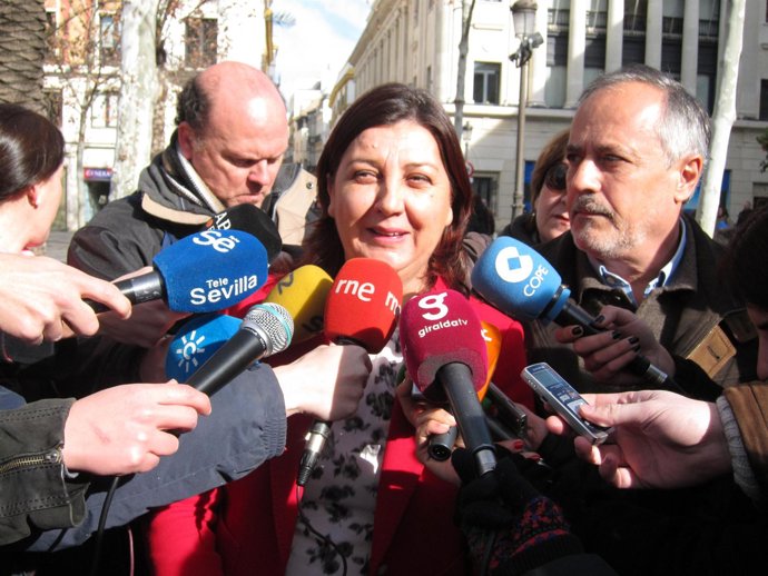 La Portavoz Adjunta De IU En El Ayuntamiento De Sevilla, Josefa Medrano
