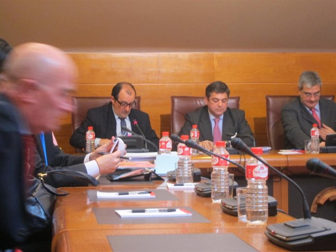 Miguel Cabetas, Consejero Delegado De Sodeercan, En La Comisión De GFB