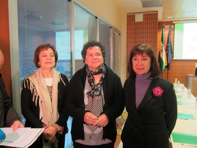Carmen Álvarez, Soledad Ruiz Y Natividad Redondo Antes De La Comisión.