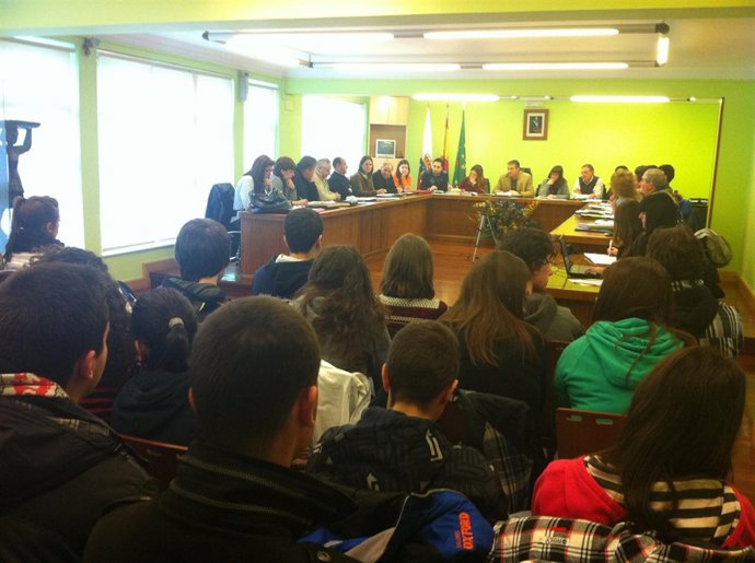 Pleno Municipal De Piélagos