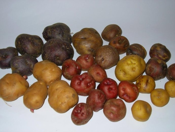 Las Papas Antiguas De Canarias