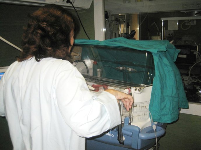 Una Médico Atiende A Un Bebé En Una Incubadora