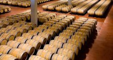 Barricas de vino.