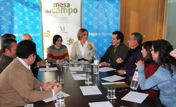 Reunión De La Mesa Del Campo