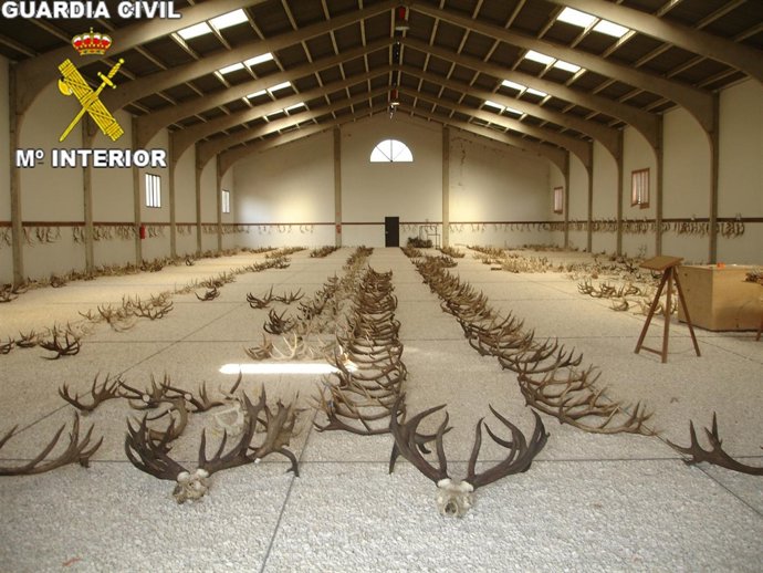 Trofeos Robados Intervenidos Por La Guardia Civil