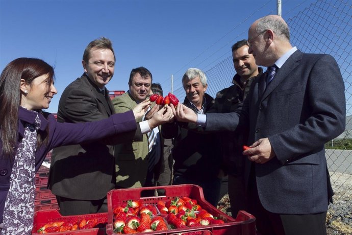 El Consejero De Empleo, Manuel Recio, En Una Finca En Palos.