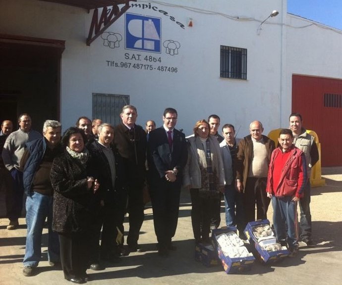 Soriano Champiniones