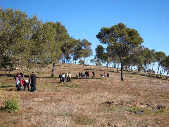 Cerro De Los Pinos De Cáceres.
