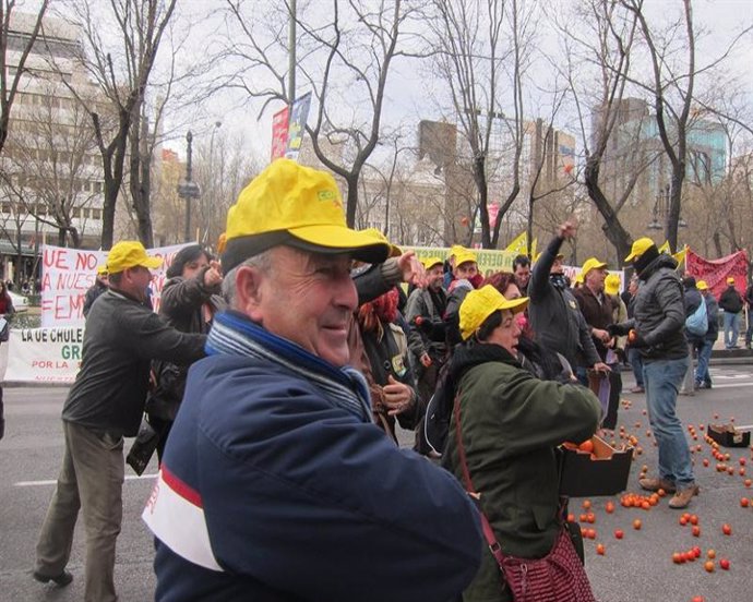 Agricultores lanzan tomates contra Parlamento Europeo