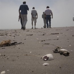 Mancha de crudo, petroleo se acerca a la costa