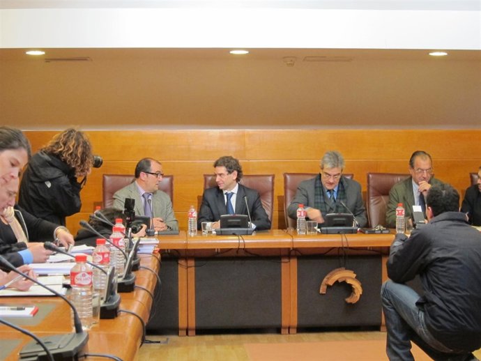 Francisco Royano En La Comisión