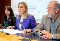 Tolón cree que "muchos" militantes y simpatizantes del PSOE acudirán a las manifestaciones contra la reforma laboral