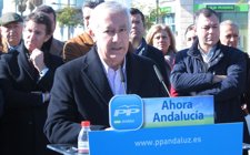 Javier Arenas