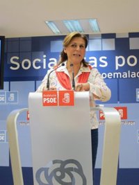Torres pide la dimisión del edil Juan Antonio López que dejó el grupo del PSOE en Antequera pero no el acta