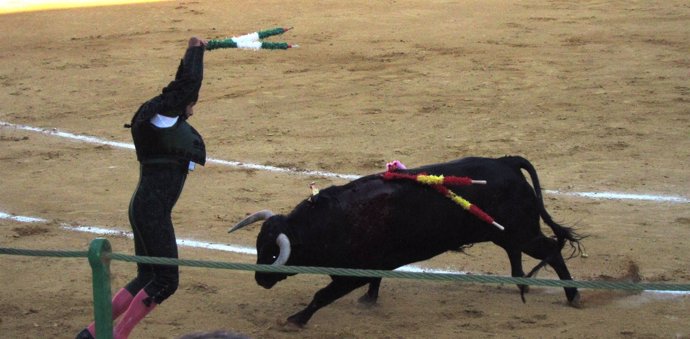 Banderillero En La Plaza De Toros De Valladolid