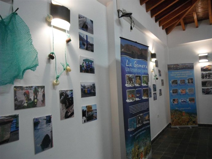 Muestra De La Exposición