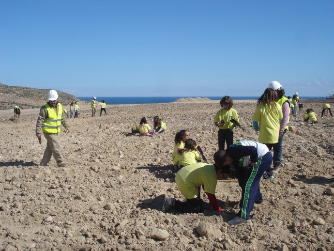Restauración De La Escombrera De Endesa En Carboneras 